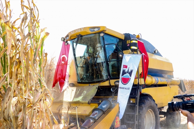 Diyarbakır'da 380 bin dönümlük alanda mısır mesaisi başladı